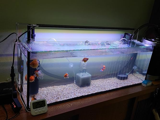 Amazon | 寿工芸 寿工芸 レグラスフラット F-90S/B | Kotobuki | 水槽 通販